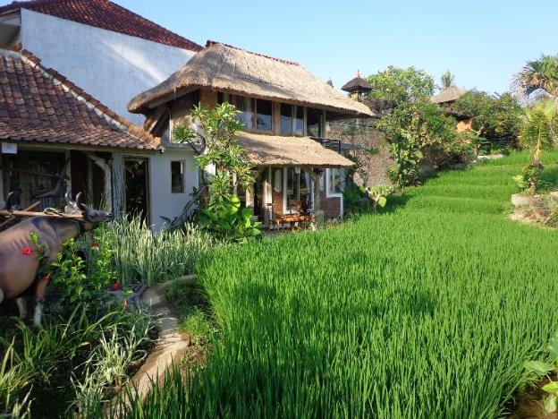 kts balinese villas