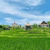 kts balinese villas