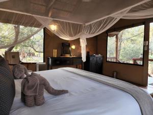 karongwe portfolio chisomo safari camp