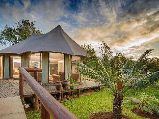 Karongwe Portfolio - Chisomo Safari Camp,Gravelotte>>Balule Game Reserve,4 star