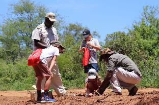 karongwe portfolio chisomo safari camp