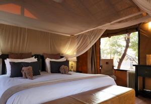 karongwe portfolio chisomo safari camp