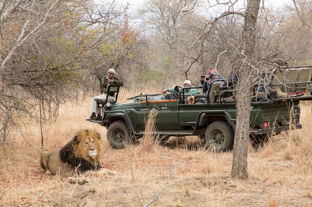karongwe portfolio chisomo safari camp