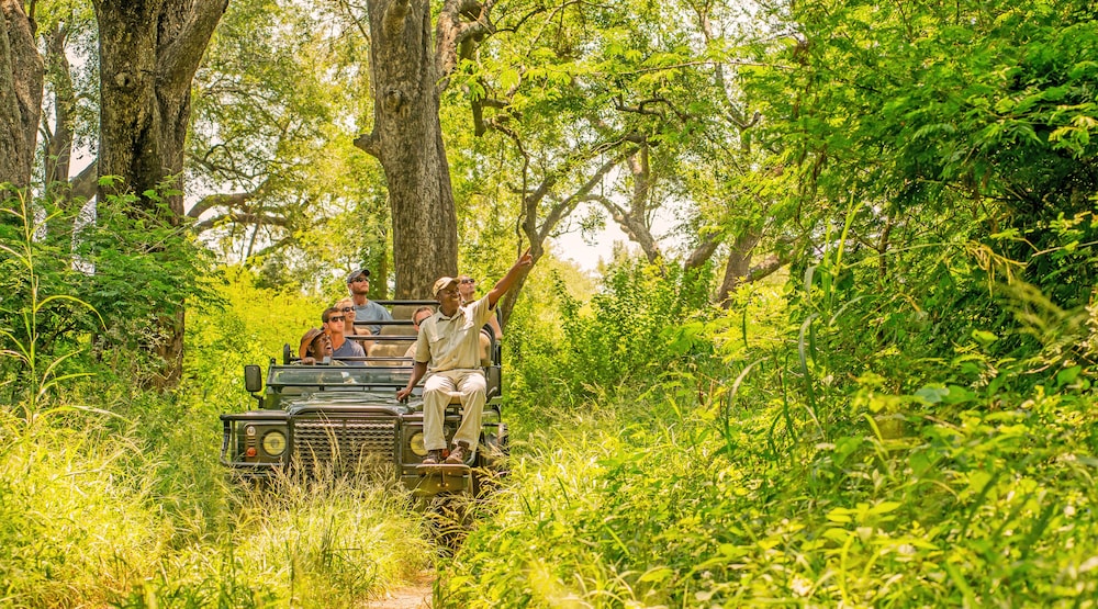 karongwe portfolio chisomo safari camp