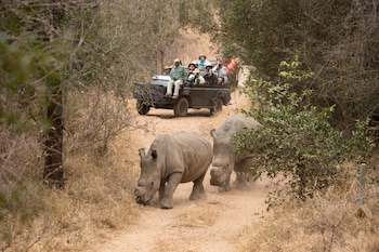 karongwe portfolio chisomo safari camp