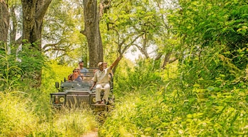 karongwe portfolio chisomo safari camp