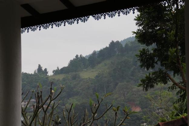 selfcate luxury apartments