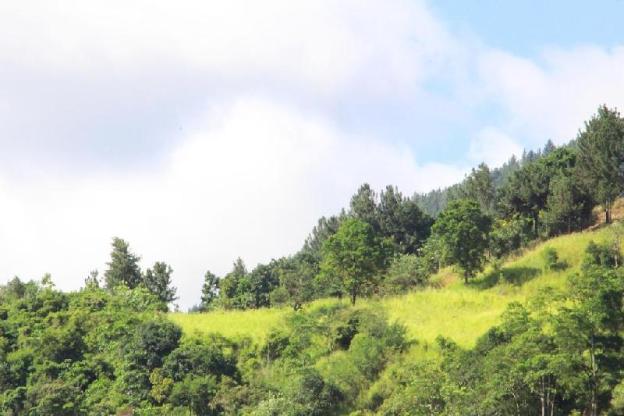 selfcate luxury apartments