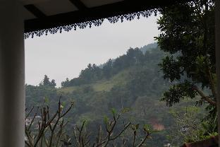 selfcate luxury apartments