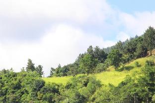 selfcate luxury apartments