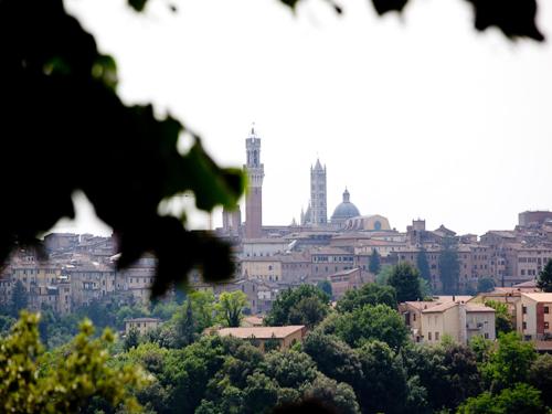 siena