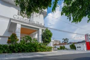 reddoorz plus cameloan hotel palu