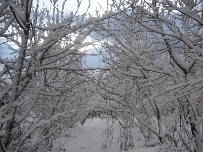 beit shalom historical boutique hotel