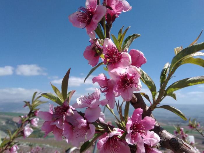 beit shalom historical boutique hotel