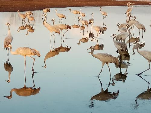 beit shalom historical boutique hotel