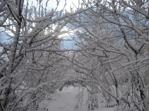 beit shalom historical boutique hotel