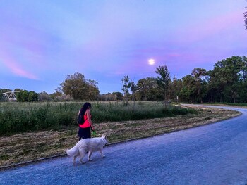 santa marta de tormes