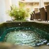 hotel u zlateho jelena