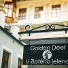 hotel u zlateho jelena