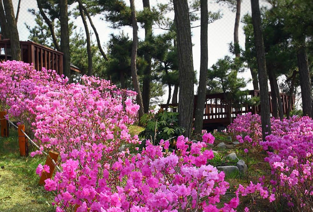 taean