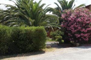 residence les castors