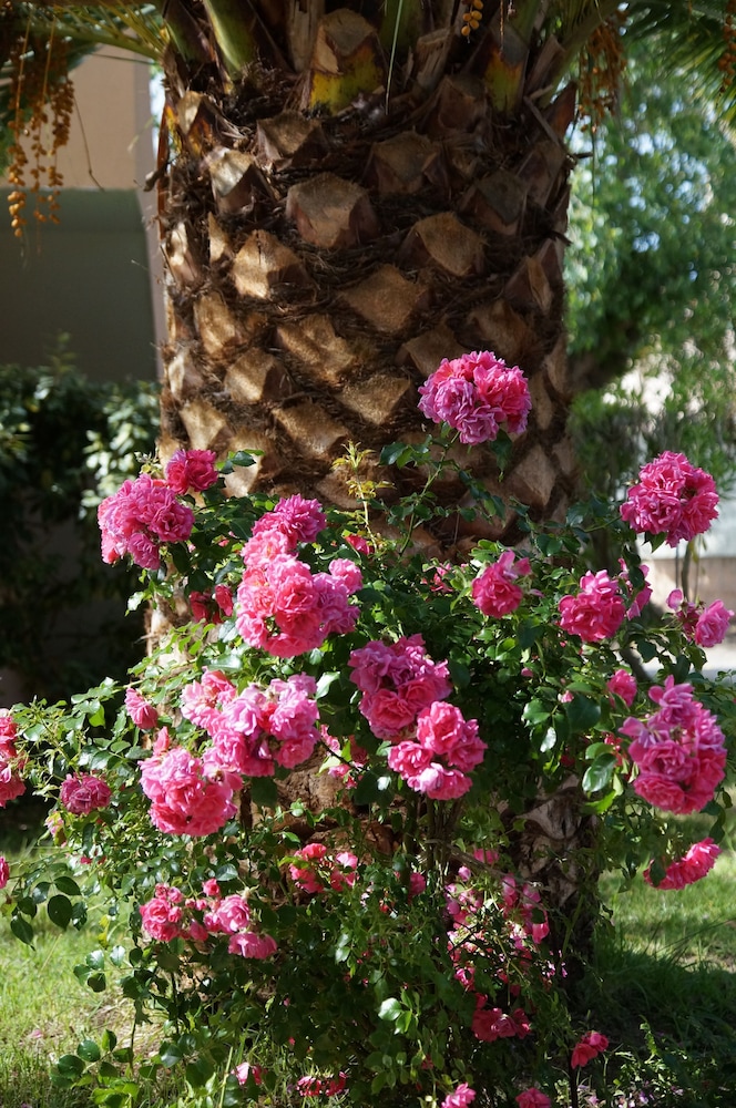 residence les castors