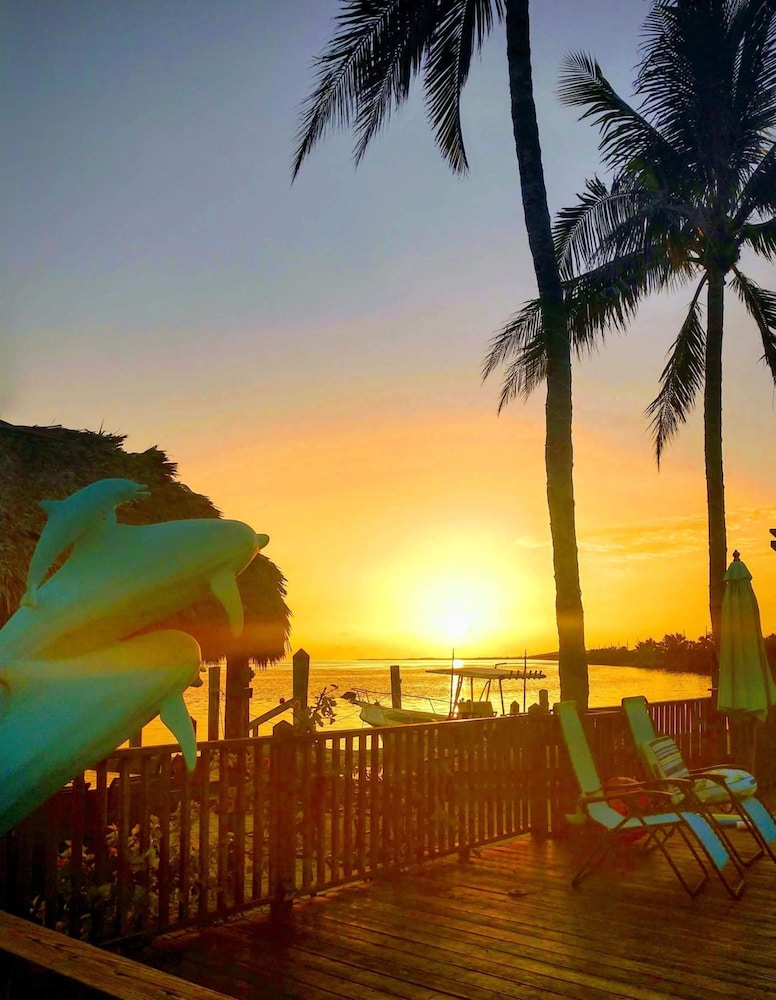 conch key fishing lodge and marina