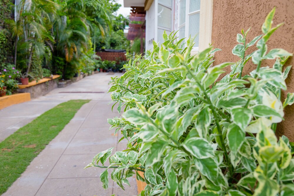 centrally located guest apartments