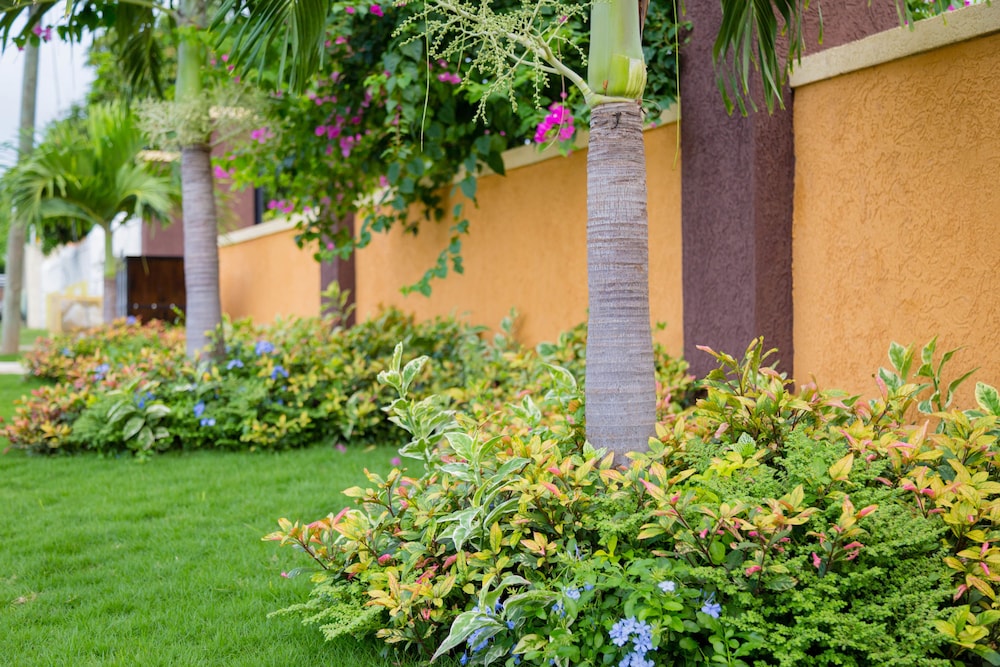 centrally located guest apartments