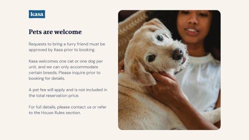 kasa downtown austin