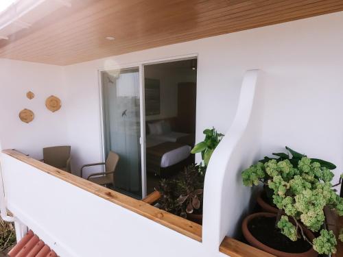 hotel cucuve