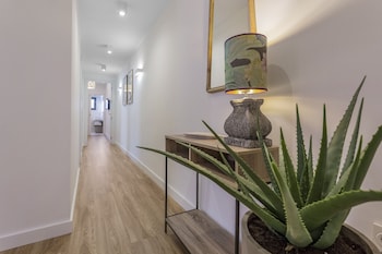 eleven real carreteria