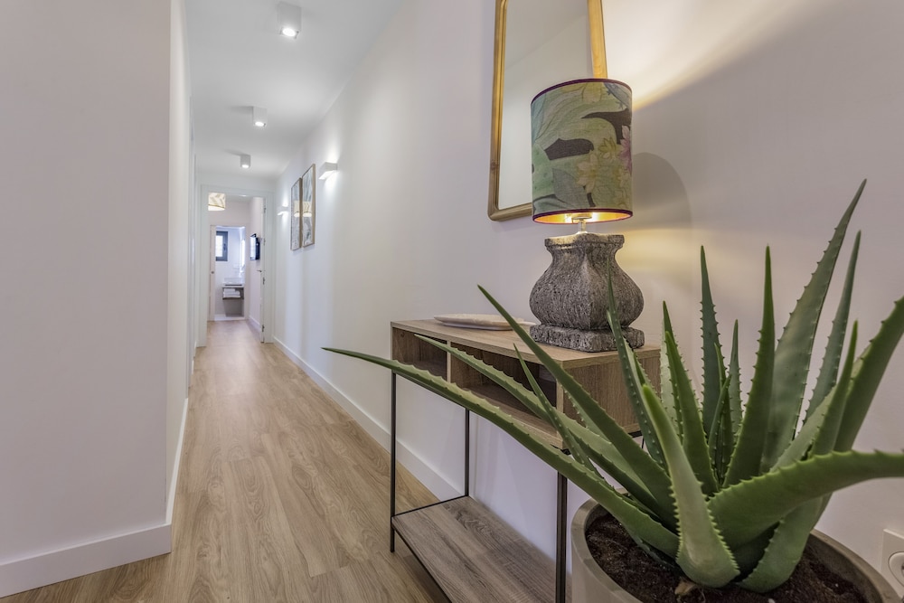 eleven real carreteria