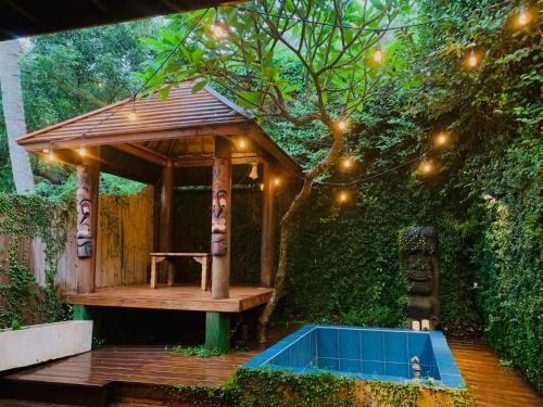 a fei surf inn i