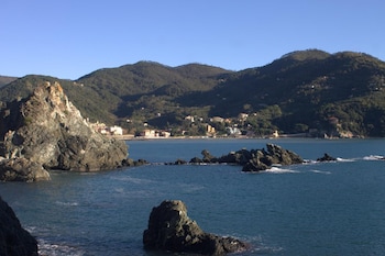 levanto