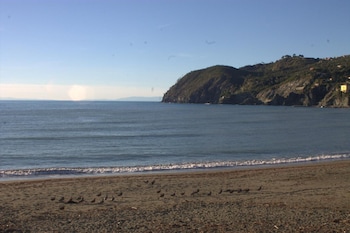 levanto