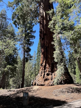 kernville