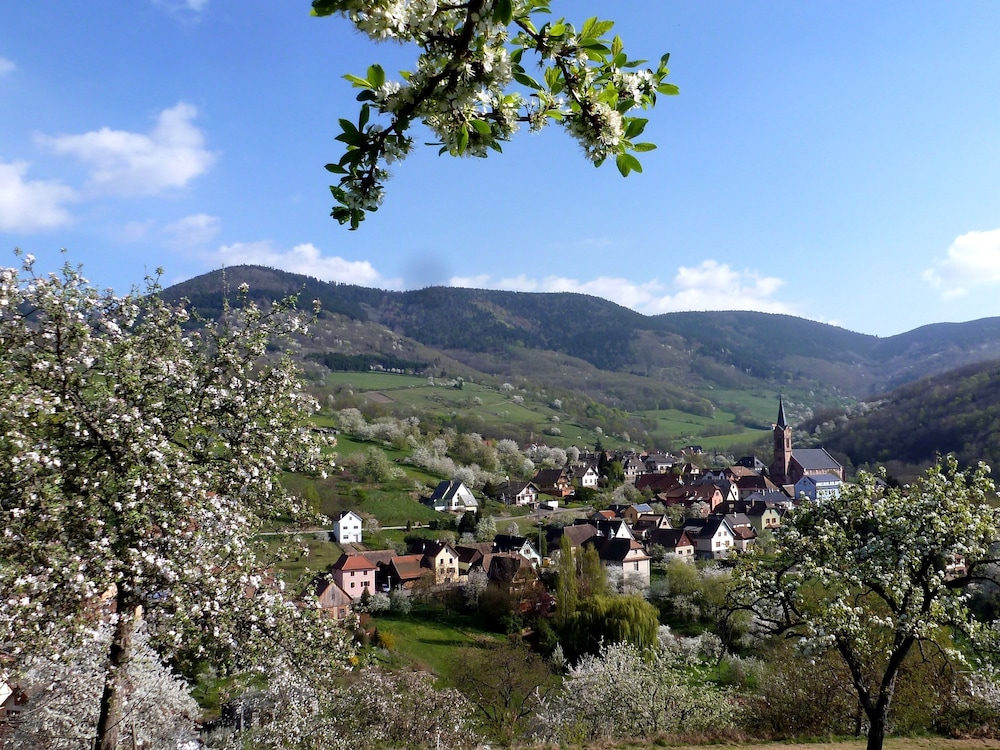 maison dhotes la cerisaie