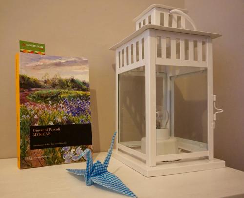 myricae affittacamere