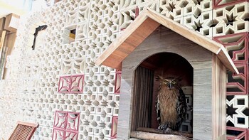 hotel omah pelem syariah hostel