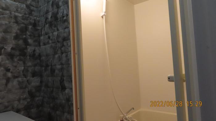sophiearth apartment