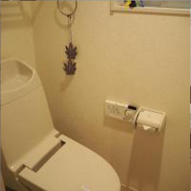 sophiearth apartment