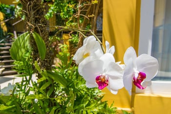 la chimere buzios essence