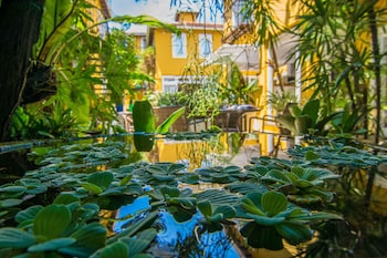 la chimere buzios essence