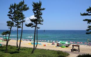 gangneung gyeongpodae hotel rang
