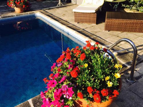 saint pourcain sur sioule