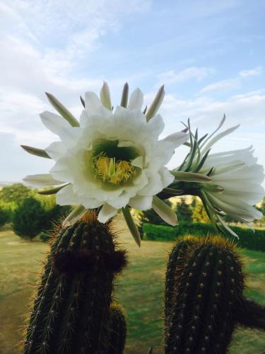 saint pourcain sur sioule