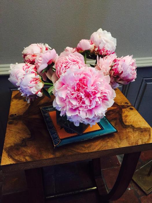 saint pourcain sur sioule