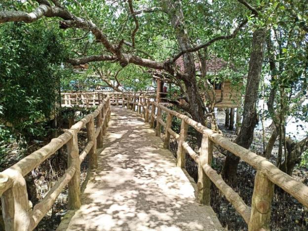 reddoorz plus costa roca balamban