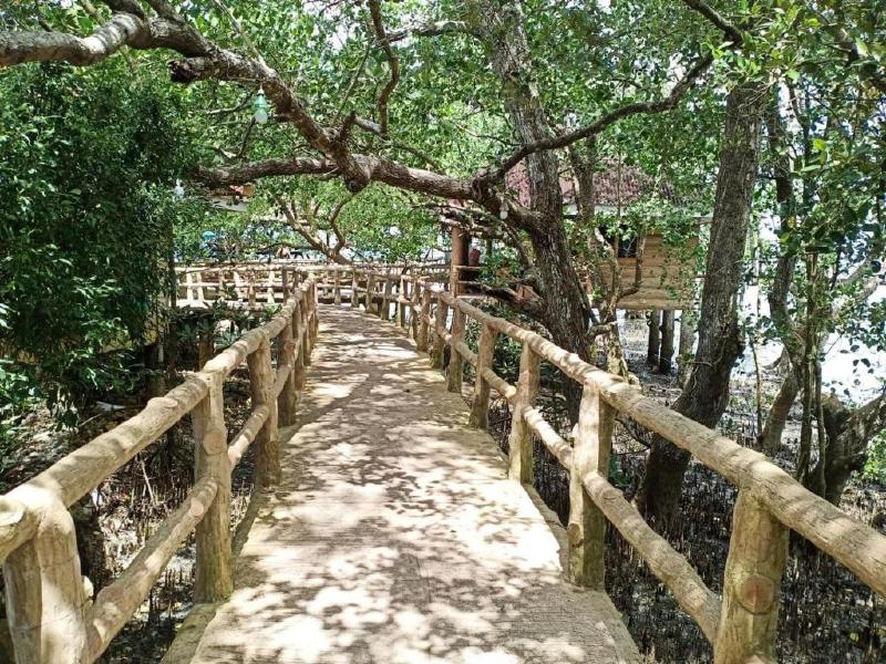reddoorz plus costa roca balamban
